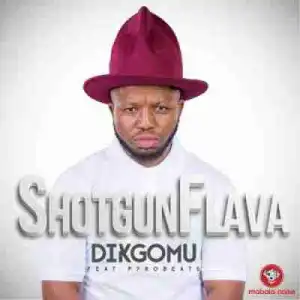 ShotGun Flava - Dikgomu Ft. Pyrobeats